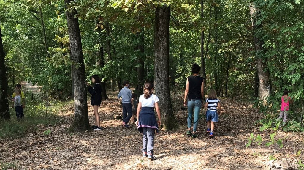 bambini di schiena in una piana del bosco che si addentrano nel verde