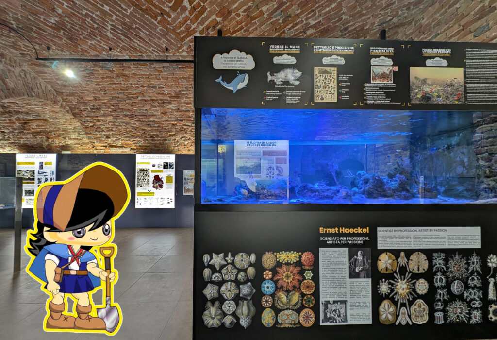 Allestimento dell'acquario preistorico ospitato in una delle sale del museo, abitato da pesci e coralli. di fianco la figura stilizzata della paleontologa Mary Anning bambina vestita in abiti da 'scavo archeologico'