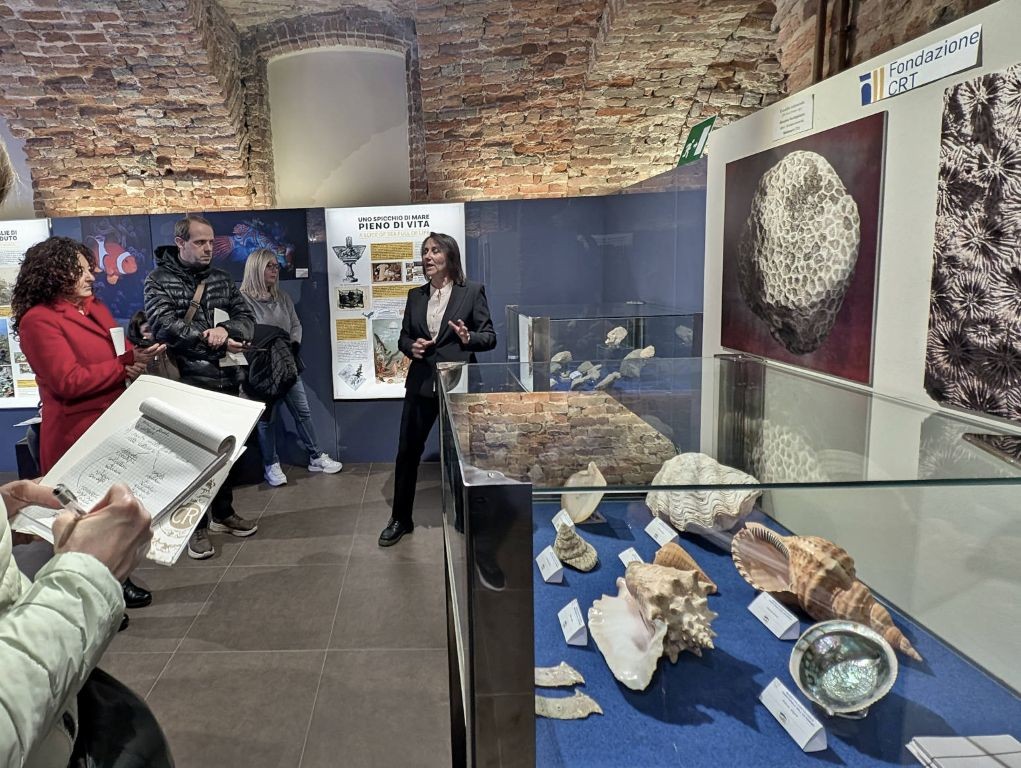 la nostra paleontologa Alessandra, davanti alle vetrine espositive contenenti i fossili più importanti del museo, spiega ai partecipanti l'importanza di questi ritrovamenti