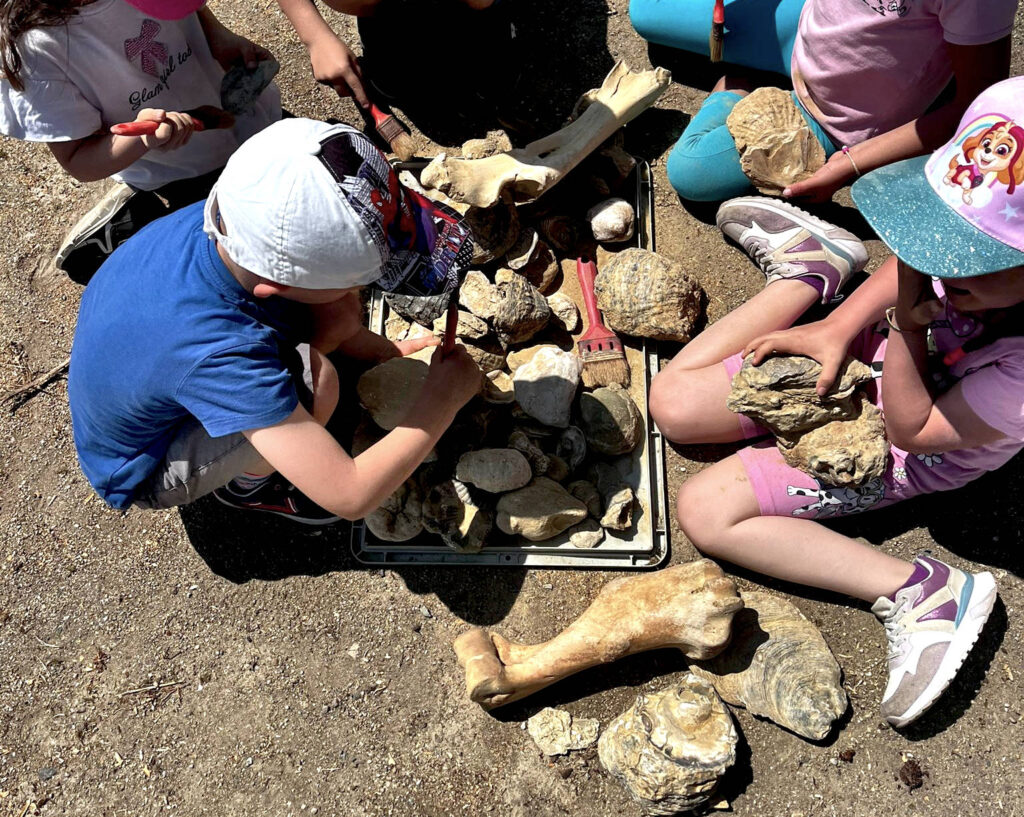 bambini alle prese con un laboratorio di scavo archeologico e ritrovamento di fossili